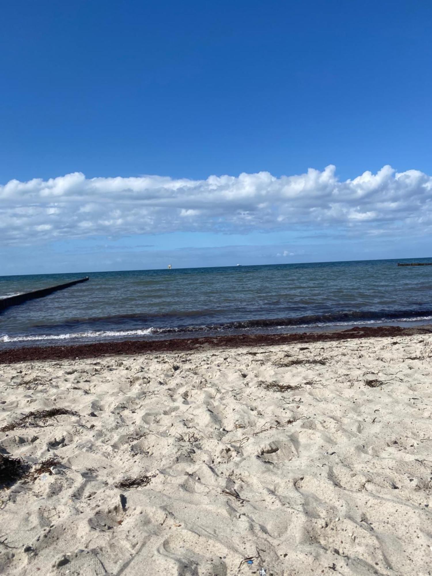 Ostsee-Ferienwohnung-Lipsia Ostseebad Nienhagen Dış mekan fotoğraf