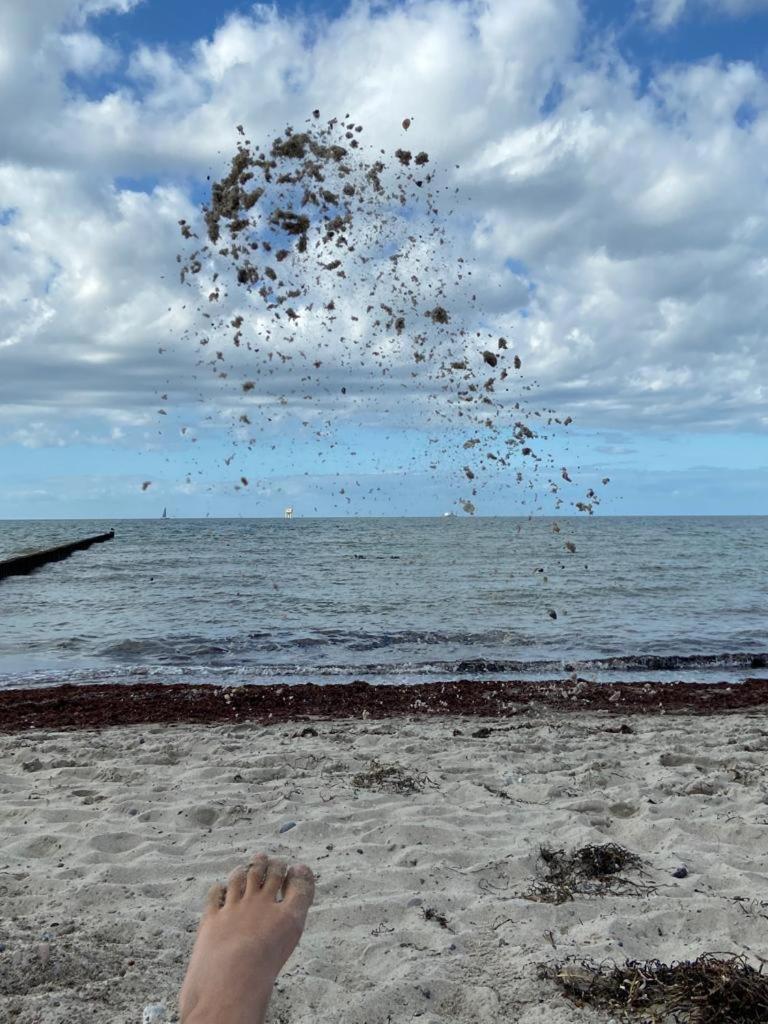 Ostsee-Ferienwohnung-Lipsia Ostseebad Nienhagen Dış mekan fotoğraf